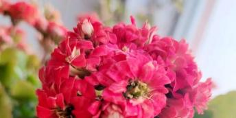 【好名聲網(wǎng)】重返故地 情滿(mǎn)心間（五）（周顯梅）